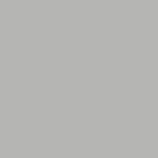 Protek Royal Exterior Paint 5 Litres - Silver Grey Colour Sample Swatch