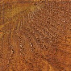 Protek Royal Exterior Paint 1 Litre - Golden Pine Colour Sample Swatch