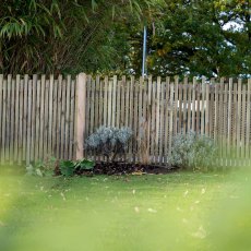 3ft High Forest Pressure Treated Contemporary Picket Fence Panel - With Background, Far View