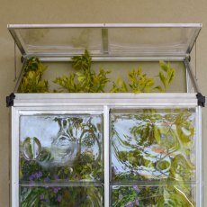 4 x 2 Palram Canopia Lean-to Greenhouse - in situ, door