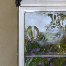4 x 2 Palram Canopia Lean-to Greenhouse - in situ, window close up
