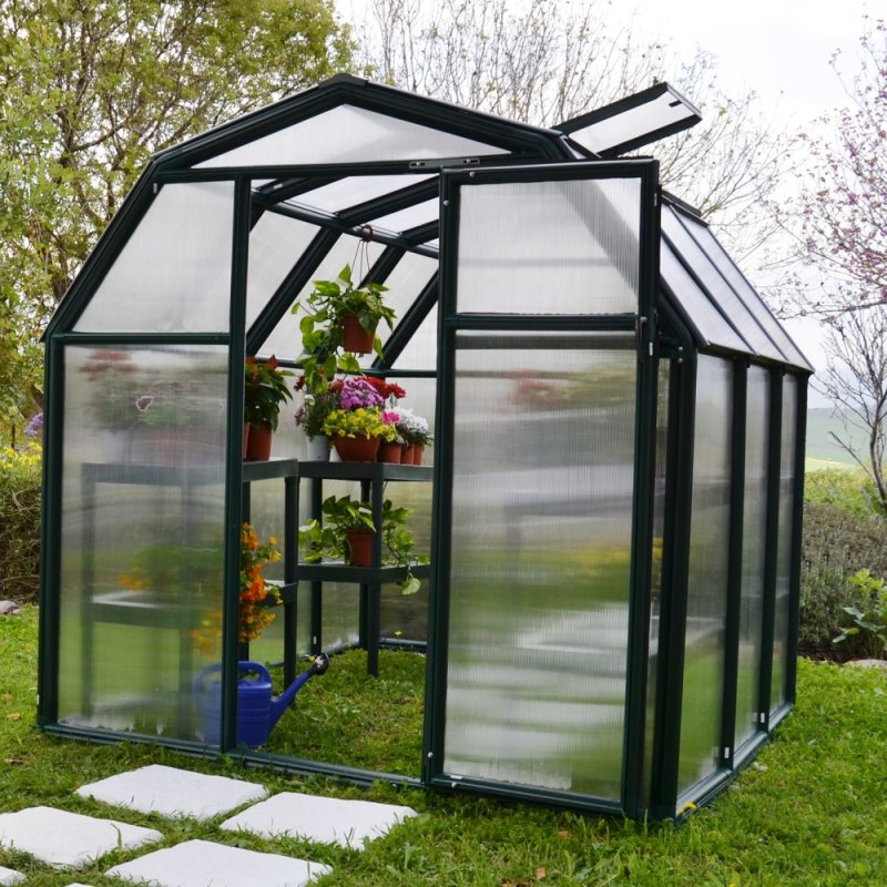 6x6 Palram Canopia EcoGrow Greenhouse - in situ, angle view, doors open