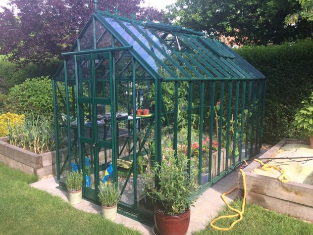 What to Grow in a Greenhouse This Autumn