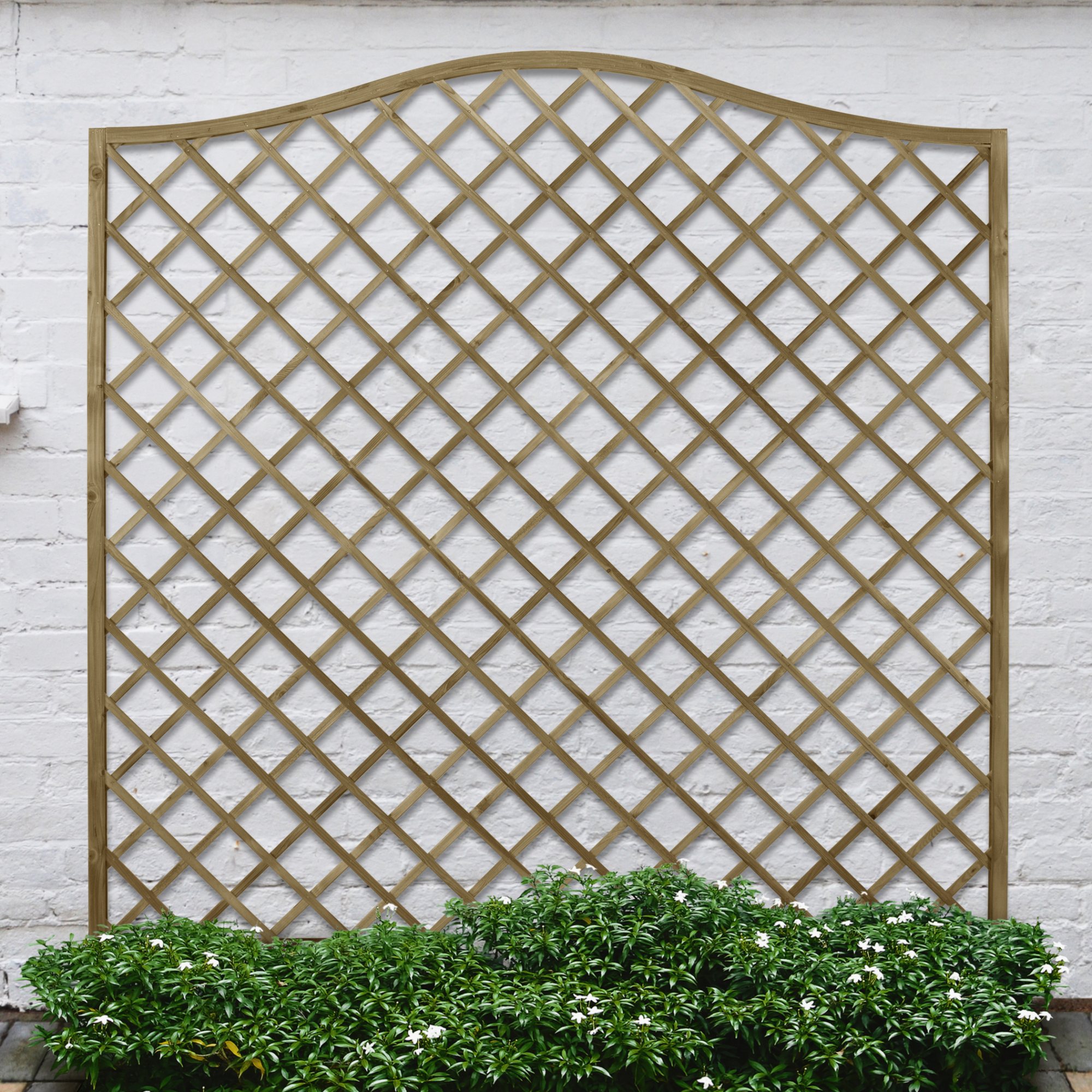 Forest Europa Trellis
