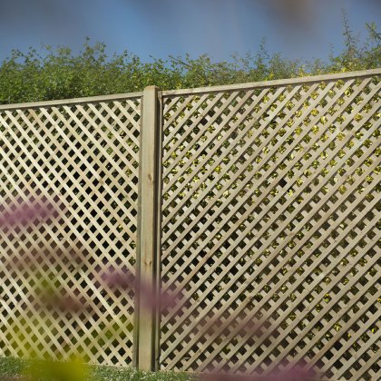 6ft High (1800mm) Forest Rosemore Lattice Trellis - Pressure Treated