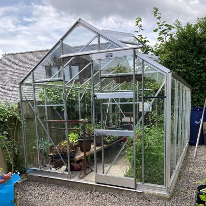 Elite Belmont 8 x 12 Greenhouse Package