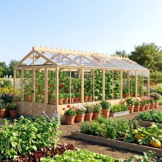 Shire Holkham 8x20 wooden greenhouse in a natural timber finish with plants