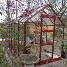 6'3" (1.90m) Wide Elite High Eave Colour Greenhouse Range