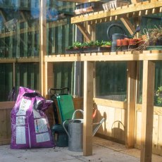 10x8 Forest Vale Wooden Greenhouse - Free Installation - 2 full length potting shelves as standard