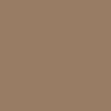 Protek Royal Exterior Paint 5 Litre - Soft Mocha Colour Sample Swatch