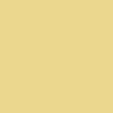 Protek Royal Exterior Paint 5 Litres - Lemon Yellow Colour Sample Swatch