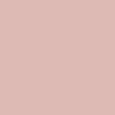 Protek Royal Exterior Paint 5 Litres - Rose Pink Colour Sample Swatch