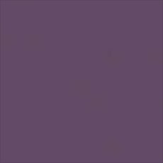 Protek Royal Exterior Paint 5 Litres - Czar Plum Colour Sample Swatch