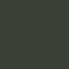 Protek Royal Exterior Paint 5 Litres - Forest Green Colour Sample Swatch