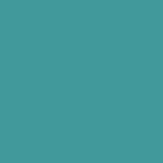 Protek Royal Exterior Paint 5 Litres - Teal Colour Sample Swatch