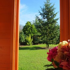 8x8 Shire Larkspur Corner Summerhouse - view through window