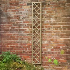 1ft High Forest Wisley Hidcote Lattice Trellis - Pressure Treated - in situ