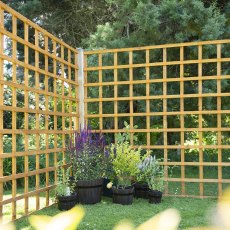 Forest Heavy Duty Trellis Panel 6ft installed in garden corner