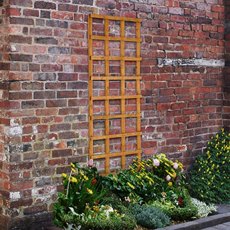 2ft by 6ft (300mm x 1830mm) Forest Heavy Duty Trellis - In situ
