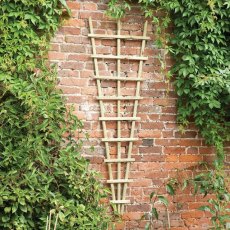 Forest Traditional Fan Trellis 180 x 60cm - Pressure treated