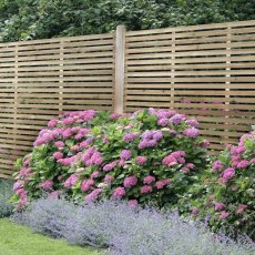 6ft High Forest Slatted Fence Panel - in situ