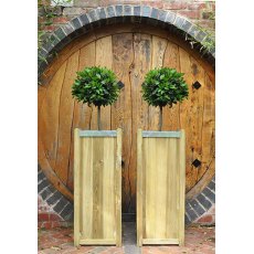 Forest Slender Planter - Large - Pressure Treated - in a pair in front of a door