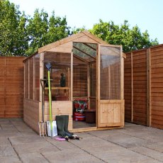 6 x 6 Mercia Traditional Greenhouse - door open with gardening equipment inside