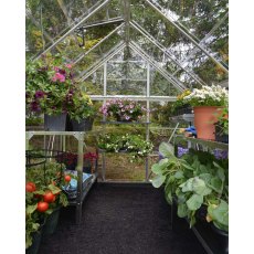 6 x 8 Palram Harmony Greenhouse in Silver - interior