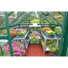 6 x 8 Palram Harmony Greenhouse in Green - interior