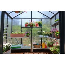 8 x 8 Palram Glory Greenhouse in Anthracite - interior with optional shelving and staging