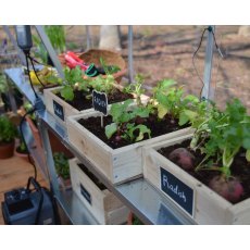 Palram Hybrid Greenhouse in Silver - interior with optional shelving unit