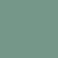 Thorndown Wood Paint 2.5 Litres - Wetlands Green - Solid swatch