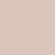 Protek Royal Exterior Paint 1 Litre - Cashmere Colour Sample Swatch