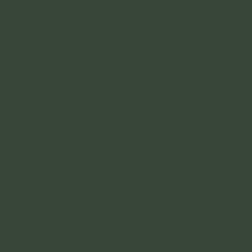 Protek Royal Exterior Paint 1 Litre - Ivy Green Colour Sample Swatch