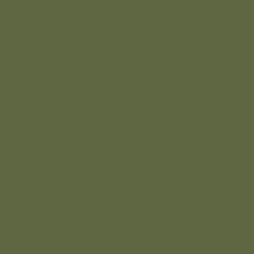 Protek Royal Exterior Paint 1 Litre - Jungle Green Colour Sample Swatch