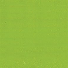 Protek Royal Exterior Paint 1 Litre - Lime Green Colour Sample Swatch