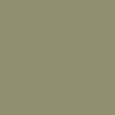 Protek Royal Exterior Paint 1 Litre - Olive Green Colour Sample Swatch