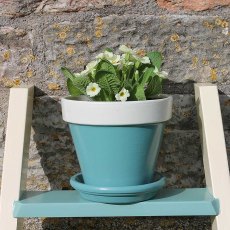 Thorndown Wood Paint 150ml - Slade Green - Lifestyle painted on plant pot