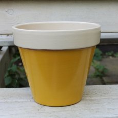 Thorndown Wood Paint 2.5 Litres - Mudgley Mustard - Painted on plant pot