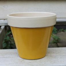 Thorndown Wood Paint 750ml - Mudgley Mustard - Painted on plant pot