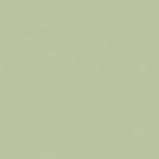 Protek Royal Exterior Paint 2.5 Litres - Warm Clay Colour Sample Swatch