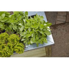 Forest Cambridge Planter 100 x 50 - Top view