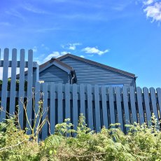 Thorndown Wood Paint - Bishop Blue - Painted on a wooden garden shed and fence