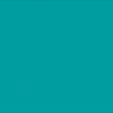 Protek Royal Exterior Paint 1 Litre - Teal Colour Swatch