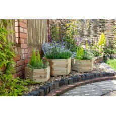 Forest York Hexagonal Planter - Set of three - In situ