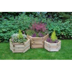 Forest York HexagonalPlanter - Set of three - in use