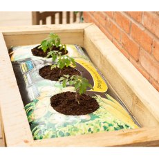 4x2 Forest Grow Bag Tray Container - Pressure Treated - close up of grow bags with new seedlings