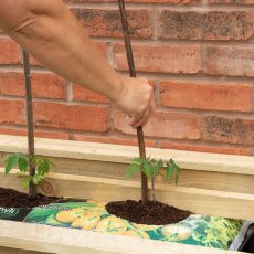 4x2 Forest Grow Bag Tray Container - Pressure Treated - grow bags with tall plan