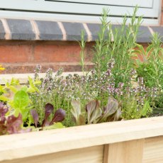 6x2 Forest Large Kitchen Garden Planter - Pressure Treated - close up of top of planter