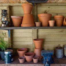 8x6 Forest Shiplap Potting Shed - Pressure Treated - in situ, internal shelving view